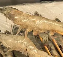 Prawn