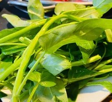 Water spinach