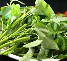 Water spinach