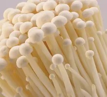 Enoki Mushroom