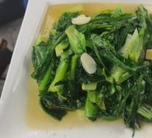 Oilseed lettuce