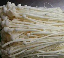 Enoki Mushroom