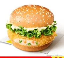 Sunshine Veggie Crunch Chicken Burger