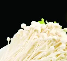 Enoki Mushroom