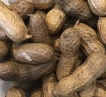 Boiled Peanuts