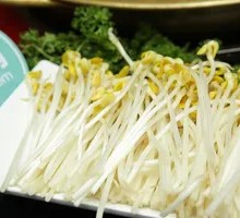 Bean sprouts