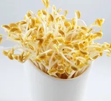 Bean sprouts