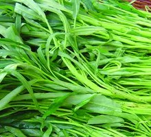 Water spinach