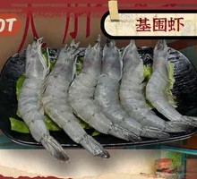 Deep Sea Shrimp