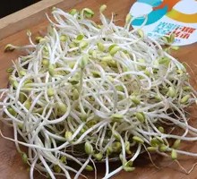 Well Water Bean Sprouts