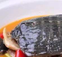 Yearly Health and Longevity Soft-Shell Turtle