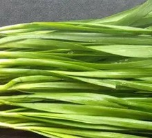 Leek