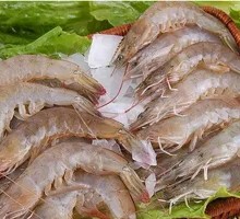 Salt-Frozen Shrimp
