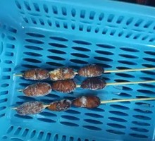 Grilled Silkworm Pupae