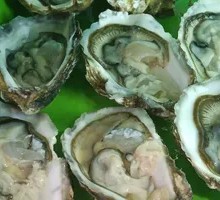 Steamed Oysters with Garlic and Vermicelli