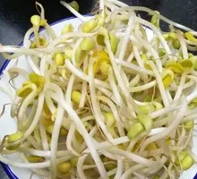 Bean sprouts