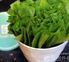 Oilseed lettuce