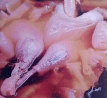 Bamboo Shoot and Free-range Chicken Soup