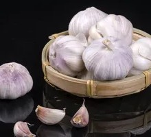 Garlic Clove