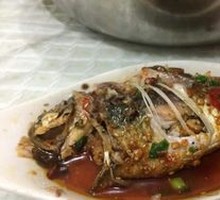 Special Crucian Carp