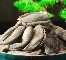 Grassland Lamb Tripe