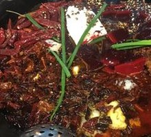 Fresh Duck Blood