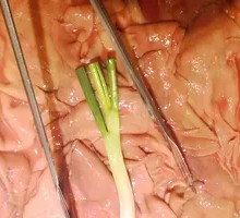 Sliced Pork Kidney with Big Knife