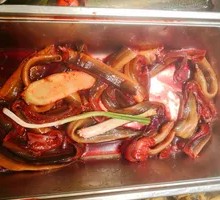 Eel