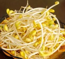 Stir-Fried Bean Sprouts