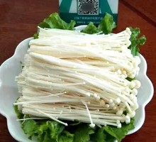 Enoki Mushroom