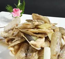 Stir-fried Baby Octopus with Ginger and Scallion