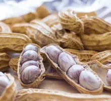 Boiled Peanuts