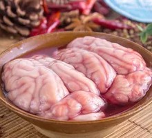 Fresh Brain Tissue