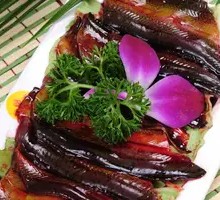 Freshly Killed Eel