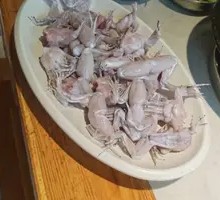 Freshly Killed Frog