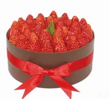 Strawberry Forest