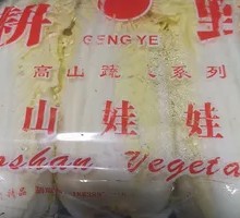 Shiitake Mushroom