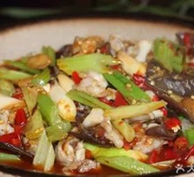 Pickled Pepper Bullfrog and Froglets