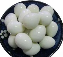 Quail Egg