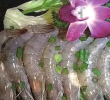 Grilled Shrimp