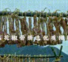 Spicy Sichuan Pork Ribs