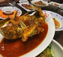 Flying Dragon Fish