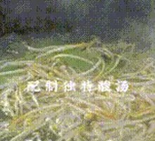 Golden Soup养生 Fish Slices