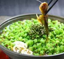 Green Pepper Yellow Catfish