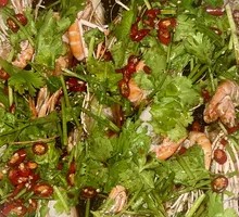 Stir-Fried Lobster Shrimp