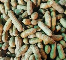 Steamed Peanuts