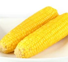 Northeast Sweet Sticky Corn