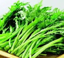 Chinese chrysanthemum greens