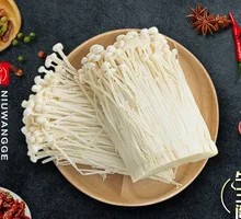 Golden Enoki Mushroom