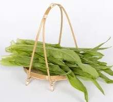 Oilseed lettuce